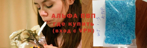 сатива Заволжье