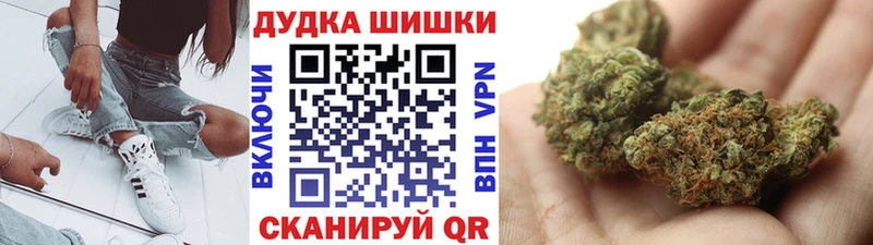 Бошки Шишки планчик  Купить где  Стрежевой 